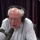 Illustration for article titled Bernie Sanders Will Not Scream and Take Off His Clothes